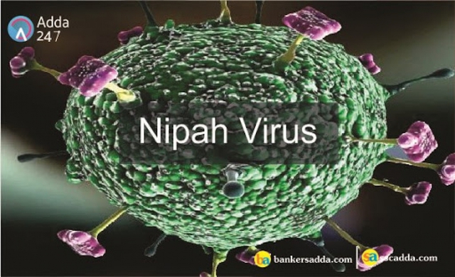  WHO cảnh báo virus Nipah có thể đột biến và gây ra đại dịch tiếp theo  - Ảnh 1.