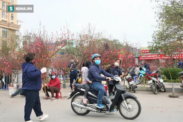  Chuyện lạ trên thị trường hoa Tết: Ồ ạt xả hàng như đêm 30, mua 1 tặng 1 - Ảnh 9.