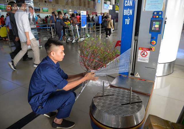Ảnh: Sân bay Nội Bài vắng vẻ cân Tết Nguyên Đán, khác hẳn cảnh tượng đông đúc mọi năm - Ảnh 7.