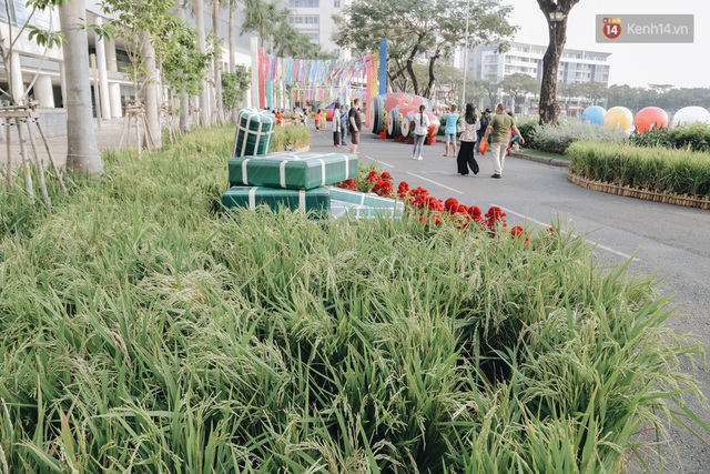 Cận cảnh đường hoa Tết Tân Sửu 2021 phong cách tối giản tại phố nhà giàu Sài Gòn - Ảnh 15.