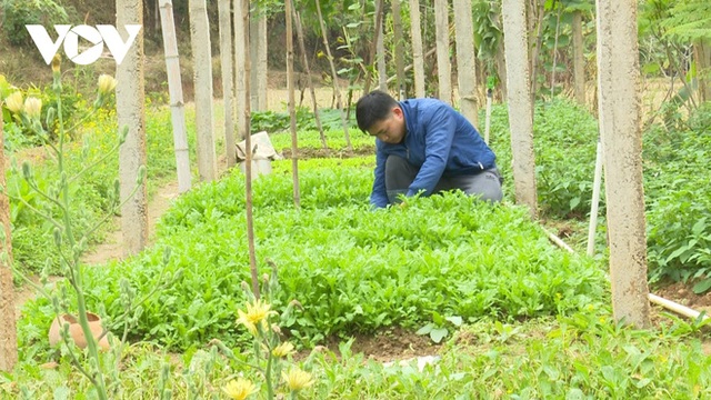  Thanh niên Bắc Kạn trồng rau, trồng nấm...thu hàng trăm triệu đồng mỗi năm - Ảnh 1.