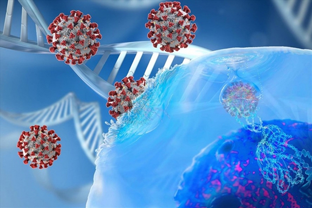  Pháp phát hiện biến chủng SARS-CoV-2 mới có khả năng “qua mặt” xét nghiệm PCR  - Ảnh 1.