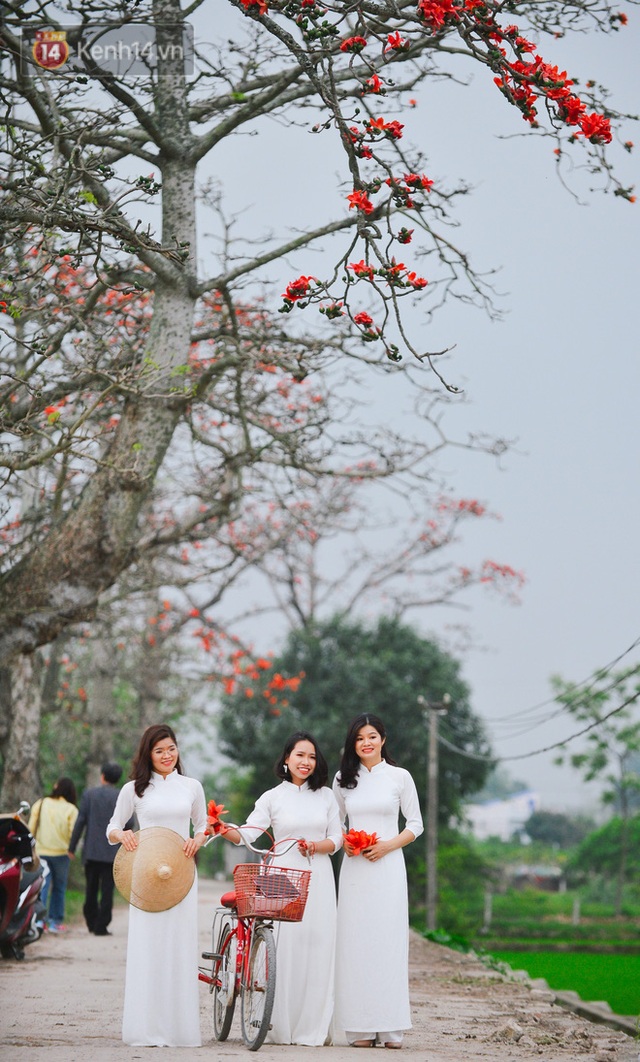 Tháng 3, hoa gạo nở rực góc trời Hà Nội: Thiếu nữ xúng xính áo dài, phó nháy đua nhau săn ảnh - Ảnh 11.