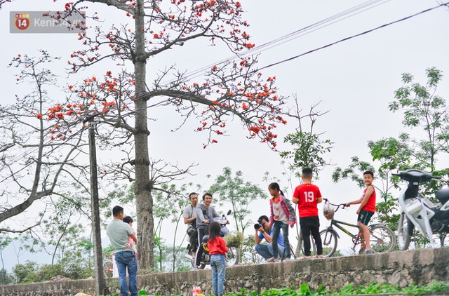 Tháng 3, hoa gạo nở rực góc trời Hà Nội: Thiếu nữ xúng xính áo dài, phó nháy đua nhau săn ảnh - Ảnh 21.