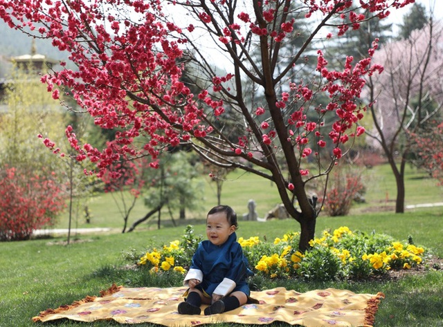 Khoe ảnh gia đình đẹp ngất ngây nhân dịp con trai út tròn 1 tuổi, Hoàng hậu Bhutan lại khiến vạn người mê đắm bởi nhan sắc lên hương - Ảnh 6.