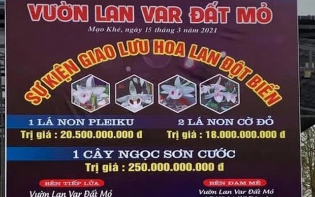 Bảng quảng cáo về "màn" mua bán lan đột biến gần 300 tỷ đồng ở Quảng Ninh.