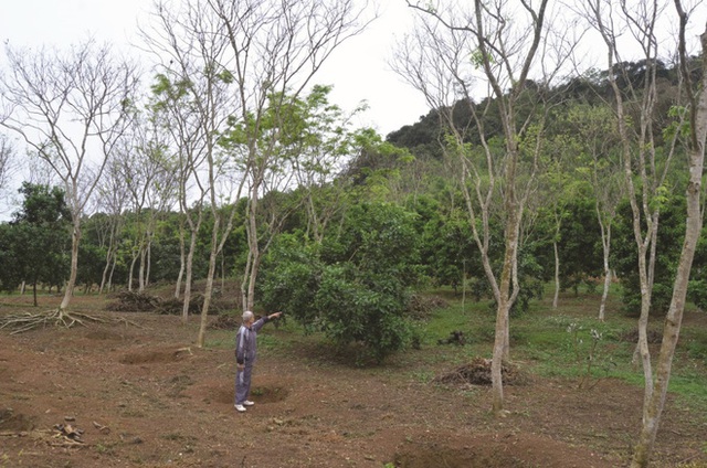  Một xã ở Việt Nam, nông dân chôn vàng ròng dưới đất, ra ngõ là gặp tỷ phú - Ảnh 1.