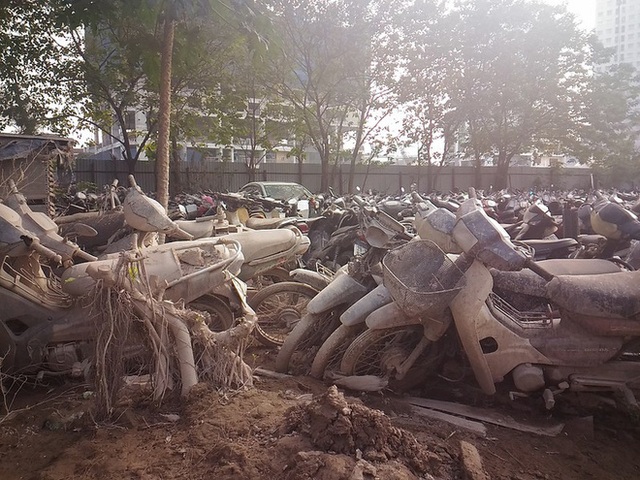  Nghĩa địa xe ở Hà Nội: Hàng nghìn chiếc chất đống như sắt vụn, chưa thể bán - Ảnh 5.