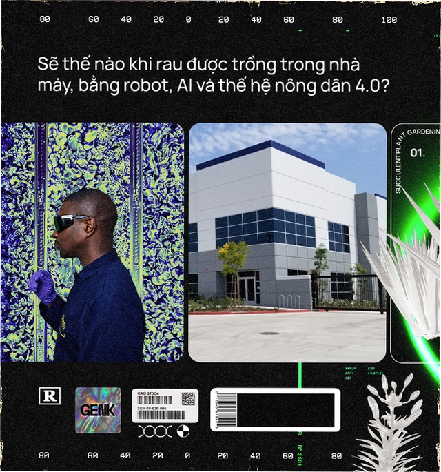 Sẽ thế nào khi rau được trồng trong nhà máy, bằng robot, AI và thế hệ nông dân 4.0? - Ảnh 3. Sẽ thế nào khi rau được trồng trong nhà máy, bằng robot, AI và thế hệ nông dân 4.0? - Ảnh 3.