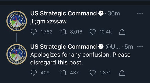 Bộ Chỉ huy Chiến lược Hoa Kỳ đăng dòng ký tự vô nghĩa ;l;;gmlxzssaw lên Twitter, cư dân mạng đoán ngay rằng có mèo trèo lên bàn phím - Ảnh 2.