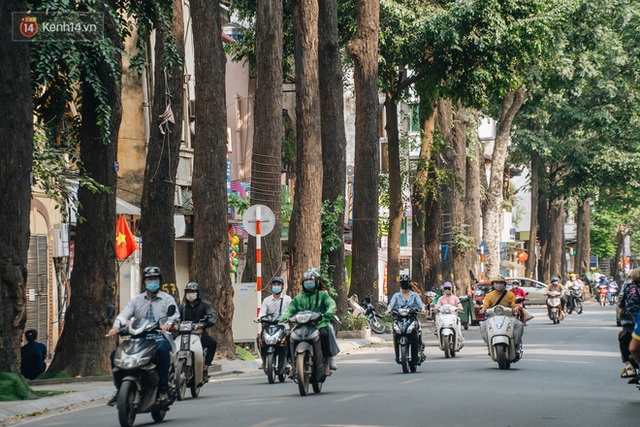 Những tuyến phố có hàng cây xanh được quy hoạch 100 năm trước ở Hà Nội giờ ra sao? - Ảnh 2.