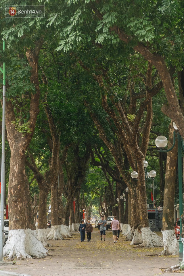 Những tuyến phố có hàng cây xanh được quy hoạch 100 năm trước ở Hà Nội giờ ra sao? - Ảnh 11.