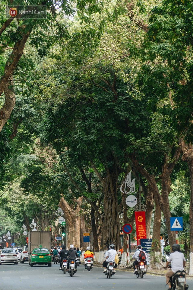 Những tuyến phố có hàng cây xanh được quy hoạch 100 năm trước ở Hà Nội giờ ra sao? - Ảnh 12.