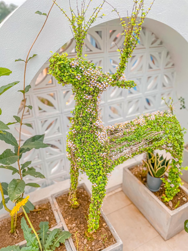 Ra ở riêng, vợ chồng xây căn nhà 4 tầng thơ mộng như homestay Đà Lạt, kể tai nạn thợ xây tự ý sửa bản vẽ - Ảnh 17. Ra ở riêng, vợ chồng xây căn nhà 4 tầng thơ mộng như homestay Đà Lạt, kể tai nạn thợ xây tự ý sửa bản vẽ - Ảnh 17.