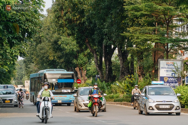 Những tuyến phố có hàng cây xanh được quy hoạch 100 năm trước ở Hà Nội giờ ra sao? - Ảnh 18.