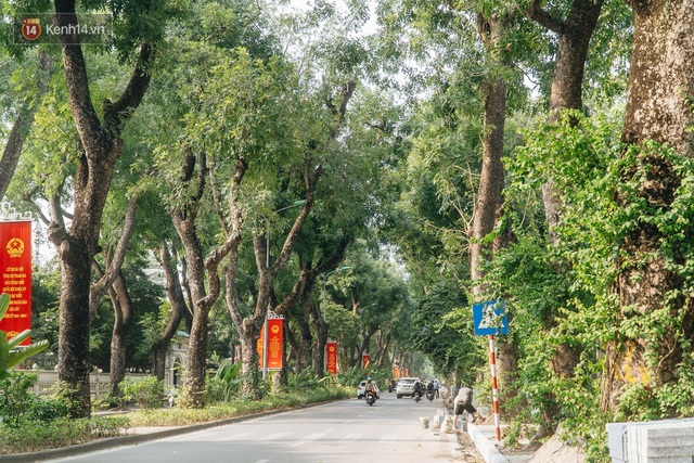 Những tuyến phố có hàng cây xanh được quy hoạch 100 năm trước ở Hà Nội giờ ra sao? - Ảnh 19.