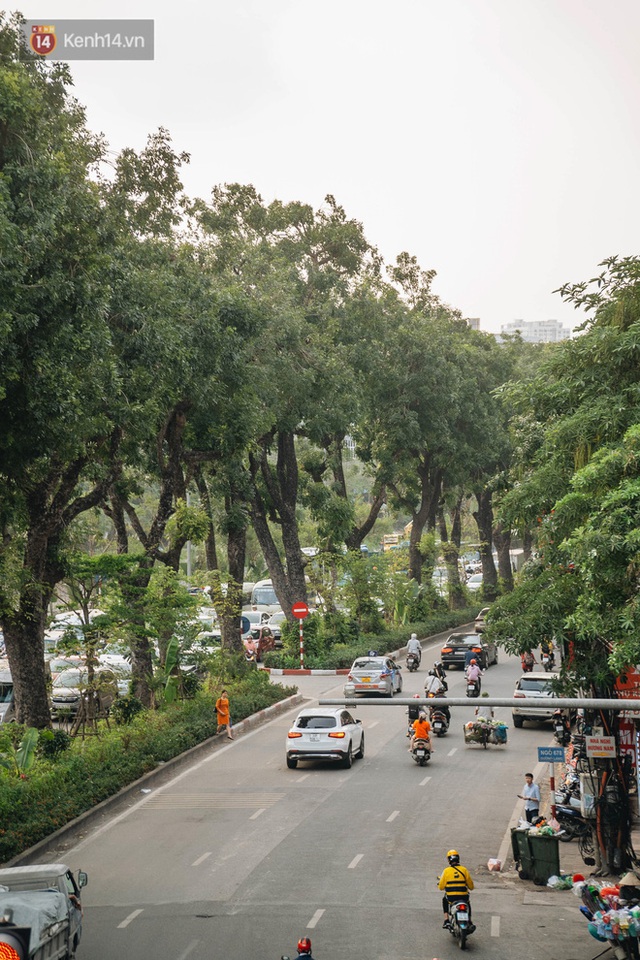 Những tuyến phố có hàng cây xanh được quy hoạch 100 năm trước ở Hà Nội giờ ra sao? - Ảnh 22.