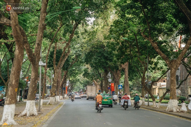 Những tuyến phố có hàng cây xanh được quy hoạch 100 năm trước ở Hà Nội giờ ra sao? - Ảnh 10.