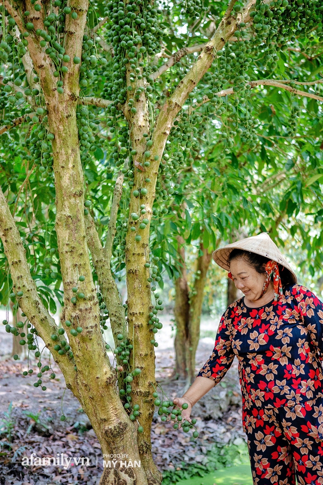 Thứ quả chỉ miền Tây mới có: Mọc thành chùm nhìn tưởng như nho, nhưng lại khiến cả thế giới phải ngỡ ngàng về định nghĩa ĂN DÂU NHẢ HỘT không thôi bị sặc là khỏi đền! - Ảnh 17. Thứ quả chỉ miền Tây mới có: Mọc thành chùm nhìn tưởng như nho, nhưng lại khiến cả thế giới phải ngỡ ngàng về định nghĩa ĂN DÂU NHẢ HỘT không thôi bị sặc là khỏi đền! - Ảnh 17.