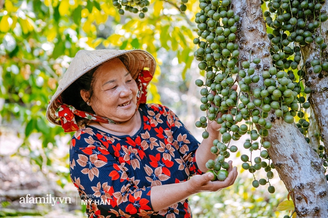 Thứ quả chỉ miền Tây mới có: Mọc thành chùm nhìn tưởng như nho, nhưng lại khiến cả thế giới phải ngỡ ngàng về định nghĩa ĂN DÂU NHẢ HỘT không thôi bị sặc là khỏi đền! - Ảnh 7.