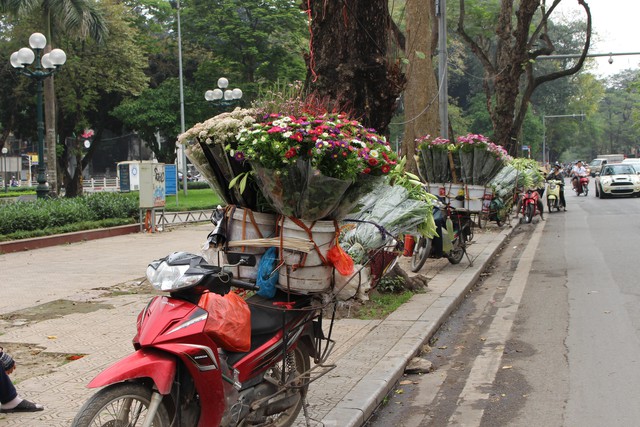  Hoa baby gạo độc lạ hút khách ở Hà Nội  - Ảnh 1.
