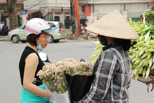  Hoa baby gạo độc lạ hút khách ở Hà Nội  - Ảnh 2.