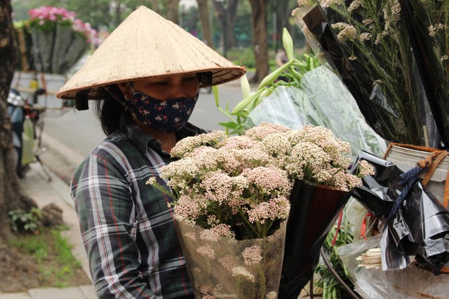  Hoa baby gạo độc lạ hút khách ở Hà Nội  - Ảnh 5.