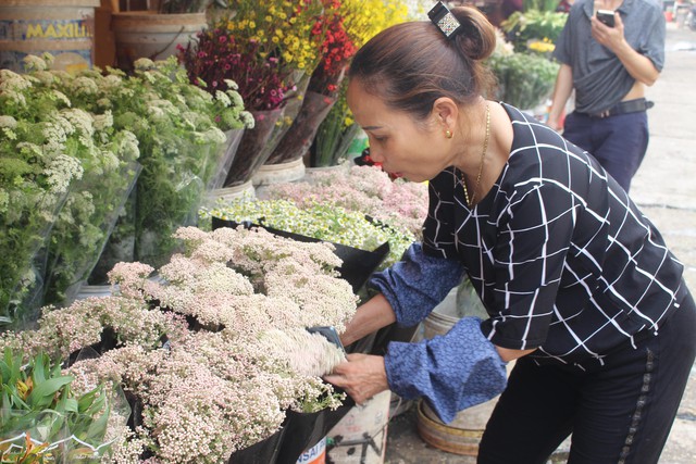  Hoa baby gạo độc lạ hút khách ở Hà Nội  - Ảnh 8.