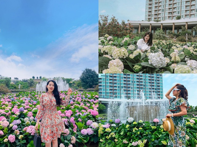 Nghỉ lễ chưa biết đi đâu, check-in ngay lễ hội hoa Hạ Long đang hot rần rần vì những lí do này - Ảnh 1. Nghỉ lễ chưa biết đi đâu, check-in ngay lễ hội hoa Hạ Long đang hot rần rần vì những lí do này - Ảnh 1.