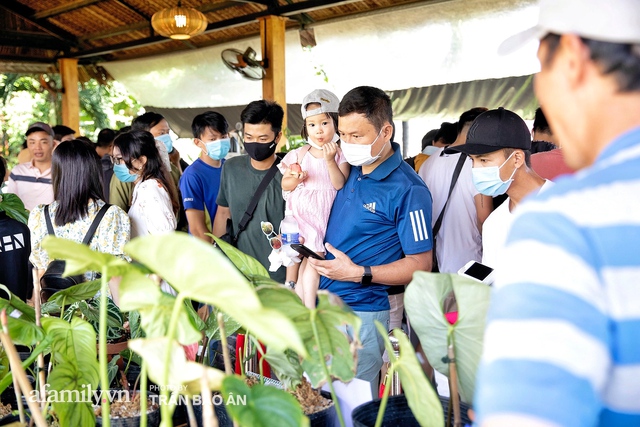 Lác mắt khi tham dự buổi offline hội Kiểng lá tại Sài Gòn, giá trị 1 chiếc lá từ vài triệu đến hàng chục triệu đồng, chính thức mở ra thú chơi siêu tốn kém của dân yêu cây - Ảnh 4.