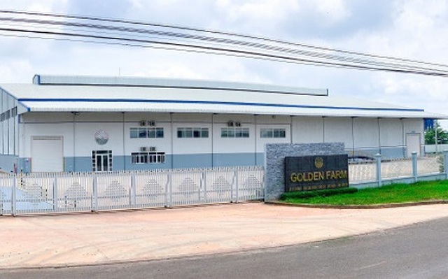 Nhà máy của Golden Farm