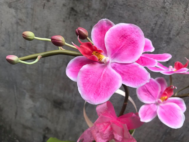 Người phụ nữ có biệt tài phù phép nắm đất vô tri trở nên có hồn, dân tình mắt chữ A miệng chữ O vì quá nhiều lần bị đánh lừa bởi các sản phẩm siêu thực! - Ảnh 11. Người phụ nữ có biệt tài phù phép nắm đất vô tri trở nên có hồn, dân tình mắt chữ A miệng chữ O vì quá nhiều lần bị đánh lừa bởi các sản phẩm siêu thực! - Ảnh 11.