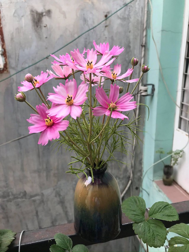 Người phụ nữ có biệt tài phù phép nắm đất vô tri trở nên có hồn, dân tình mắt chữ A miệng chữ O vì quá nhiều lần bị đánh lừa bởi các sản phẩm siêu thực! - Ảnh 15. Người phụ nữ có biệt tài phù phép nắm đất vô tri trở nên có hồn, dân tình mắt chữ A miệng chữ O vì quá nhiều lần bị đánh lừa bởi các sản phẩm siêu thực! - Ảnh 15.