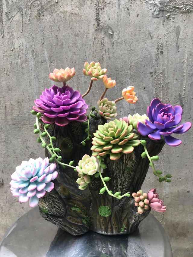 Người phụ nữ có biệt tài phù phép nắm đất vô tri trở nên có hồn, dân tình mắt chữ A miệng chữ O vì quá nhiều lần bị đánh lừa bởi các sản phẩm siêu thực! - Ảnh 18. Người phụ nữ có biệt tài phù phép nắm đất vô tri trở nên có hồn, dân tình mắt chữ A miệng chữ O vì quá nhiều lần bị đánh lừa bởi các sản phẩm siêu thực! - Ảnh 18.