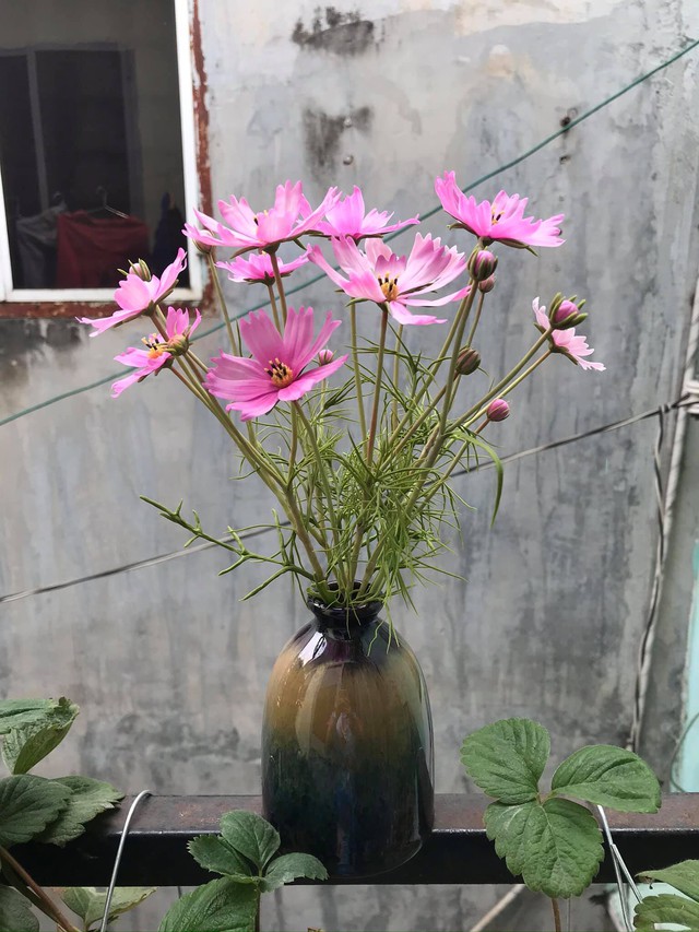Người phụ nữ có biệt tài phù phép nắm đất vô tri trở nên có hồn, dân tình mắt chữ A miệng chữ O vì quá nhiều lần bị đánh lừa bởi các sản phẩm siêu thực! - Ảnh 7. Người phụ nữ có biệt tài phù phép nắm đất vô tri trở nên có hồn, dân tình mắt chữ A miệng chữ O vì quá nhiều lần bị đánh lừa bởi các sản phẩm siêu thực! - Ảnh 7.