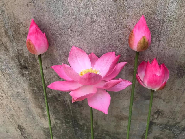 Người phụ nữ có biệt tài phù phép nắm đất vô tri trở nên có hồn, dân tình mắt chữ A miệng chữ O vì quá nhiều lần bị đánh lừa bởi các sản phẩm siêu thực! - Ảnh 8. Người phụ nữ có biệt tài phù phép nắm đất vô tri trở nên có hồn, dân tình mắt chữ A miệng chữ O vì quá nhiều lần bị đánh lừa bởi các sản phẩm siêu thực! - Ảnh 8.