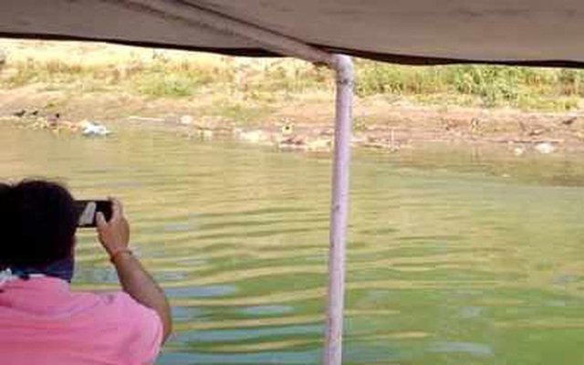 Các thi thể được phát hiện trôi vào bờ sông Hằng ở Buxar, bang Bihar, hôm 10/5. Ảnh: ANI