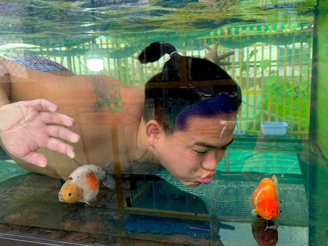  Nghỉ học từ lớp 11 để nuôi cá vàng trên sân thượng, chàng trai khoe doanh thu 100-200 triệu đồng/tháng - Ảnh 2.