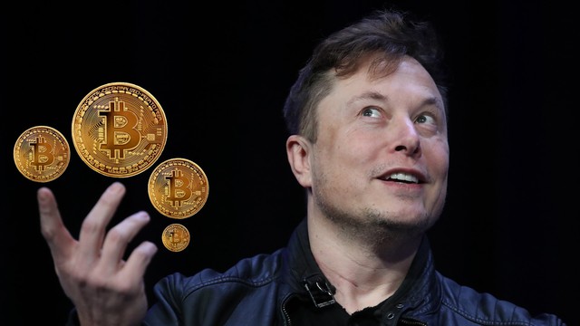 Giới chơi Bitcoin muốn Elon Musk trật tự, chuyên tâm vào bán xe ô tô điện - Ảnh 1.