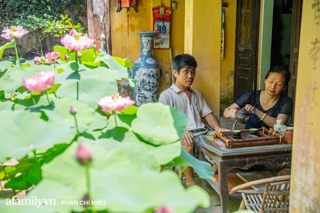 Đôi vợ chồng sở hữu căn nhà cổ 100 năm tuổi tại Hà Nội, sưu tập hàng trăm gốc sen cung đình Huế quanh nhà, ai đi qua cũng phải trầm trồ - Ảnh 12.