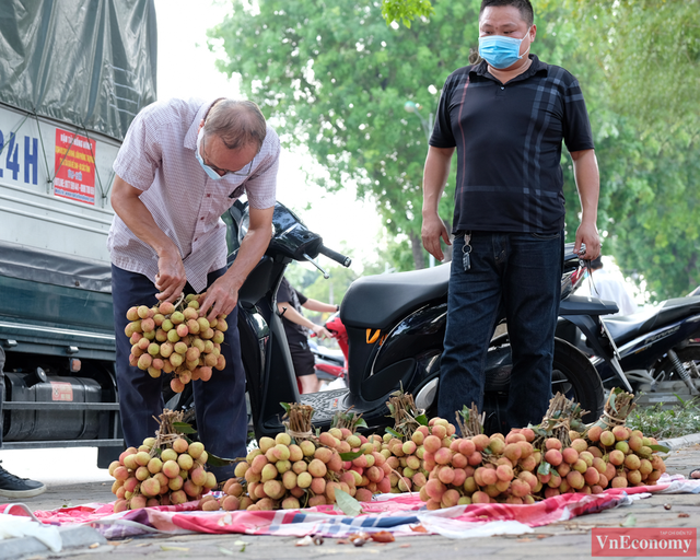 Người dân Hà Nội hào hứng mua vải sớm Bắc Giang - Ảnh 10.