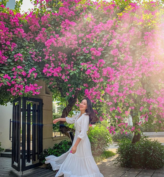 Có gì trong hai khu villa biển biệt lập nổi tiếng của FLC Hotels & Resorts? - Ảnh 3. Có gì trong hai khu villa biển biệt lập nổi tiếng của FLC Hotels & Resorts? - Ảnh 3.