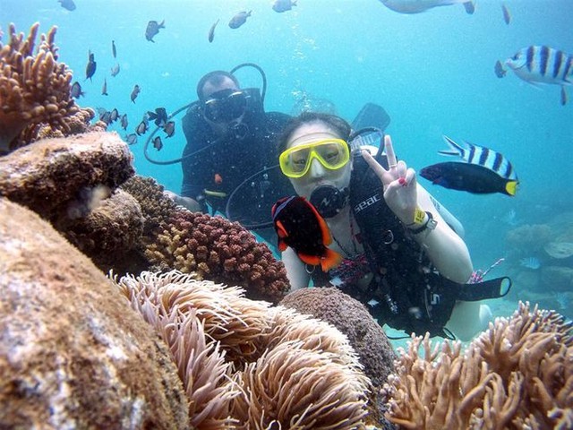 Mùa hè vẫy vùng cùng những điểm lặn ngắm san hô đẹp nhất Việt Nam: Du ngoạn vào thế giới sinh vật biển kỳ thú và lộng lẫy  - Ảnh 1.