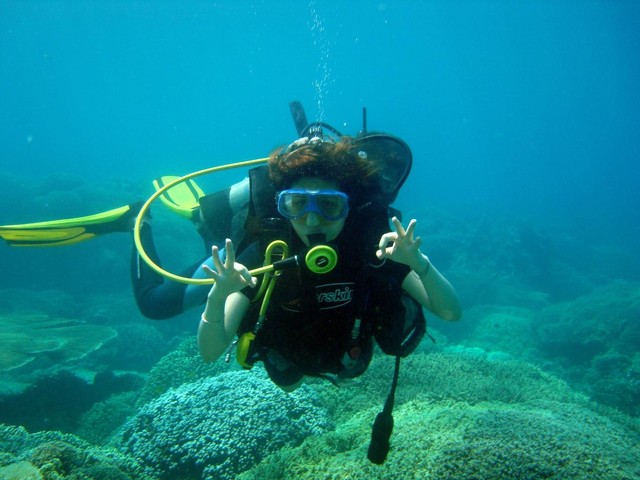 Mùa hè vẫy vùng cùng những điểm lặn ngắm san hô đẹp nhất Việt Nam: Du ngoạn vào thế giới sinh vật biển kỳ thú và lộng lẫy - Ảnh 5.