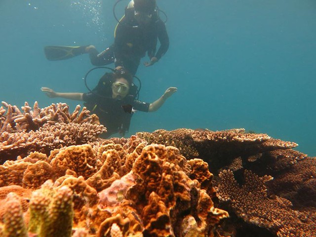 Mùa hè vẫy vùng cùng những điểm lặn ngắm san hô đẹp nhất Việt Nam: Du ngoạn vào thế giới sinh vật biển kỳ thú và lộng lẫy - Ảnh 6.
