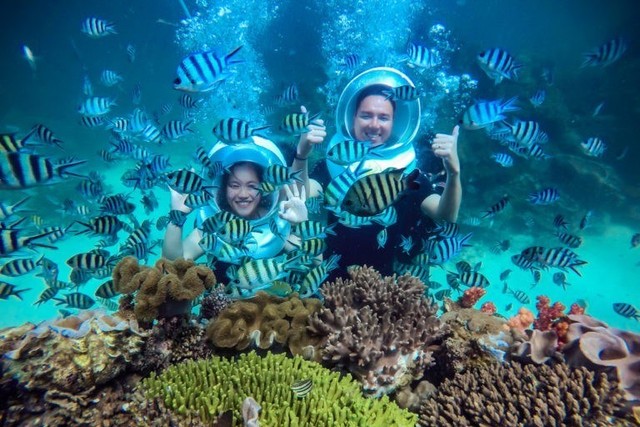 Mùa hè vẫy vùng cùng những điểm lặn ngắm san hô đẹp nhất Việt Nam: Du ngoạn vào thế giới sinh vật biển kỳ thú và lộng lẫy  - Ảnh 4.