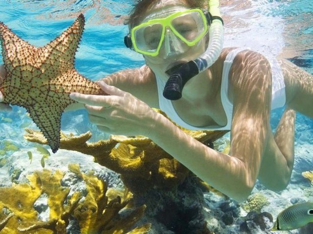 Mùa hè vẫy vùng cùng những điểm lặn ngắm san hô đẹp nhất Việt Nam: Du ngoạn vào thế giới sinh vật biển kỳ thú và lộng lẫy - Ảnh 3.