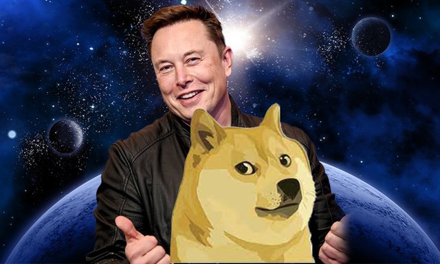 Elon Musk thích thú ý tưởng bồn tắm nước nóng kiêm máy đào Dogecoin, hy vọng giải cứu cho bong bóng sắp vỡ - Ảnh 1.