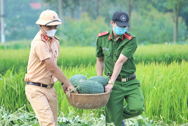  Bắc Giang: Đoàn viên thanh niên công an huyện Yên Dũng thu hoạch 8,5 tấn dưa cho bà con nông dân - Ảnh 6.