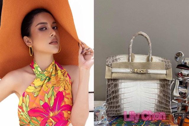  LiLy Chen - mỹ nhân bị đồn yêu cùng 1 tỷ phú với Ngọc Trinh: Tuổi thơ cơ cực sống bằng tiền từ thiện, nay sở hữu tài sản hàng chục tỷ đồng  - Ảnh 1.